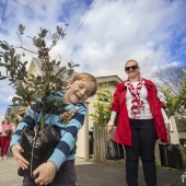 Fruit Trees for Auckland, Mount Eden Village Centre